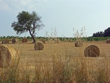 Tuscany Countryside View Stock Photos Tuscany Countryside View Stock Photos