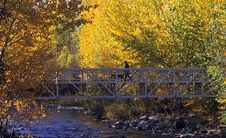 Fall Colours With Bridge Royalty Free Stock Images Fall Colours With Bridge Royalty Free Stock Images