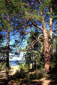 Lake Ladoga. A Beach. Stock Images Lake Ladoga. A Beach. Stock Images