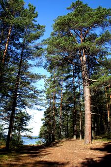 Lake Ladoga. A Beach. Stock Images Lake Ladoga. A Beach. Stock Images