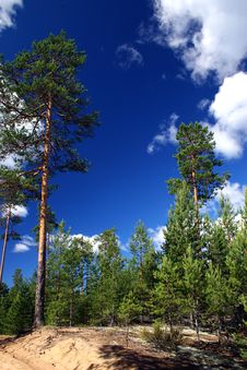 Lake Ladoga. A Beach. Royalty Free Stock Photography Lake Ladoga. A Beach. Royalty Free Stock Photography