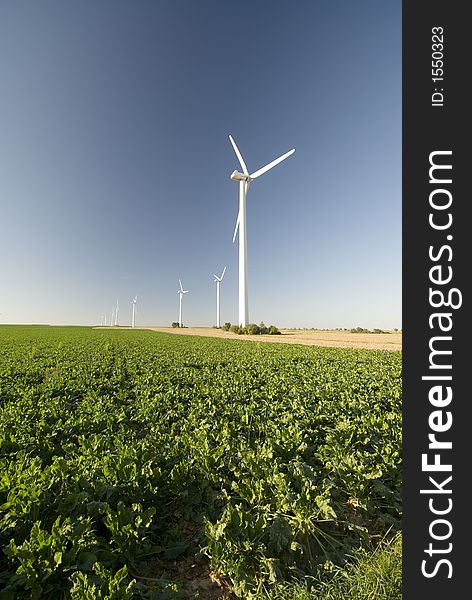 Wind Energy Generators in an agrar field