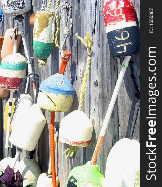 Description: Lobster traps hanging on a wooden fence in the sunlight. Description: Lobster traps hanging on a wooden fence in the sunlight.