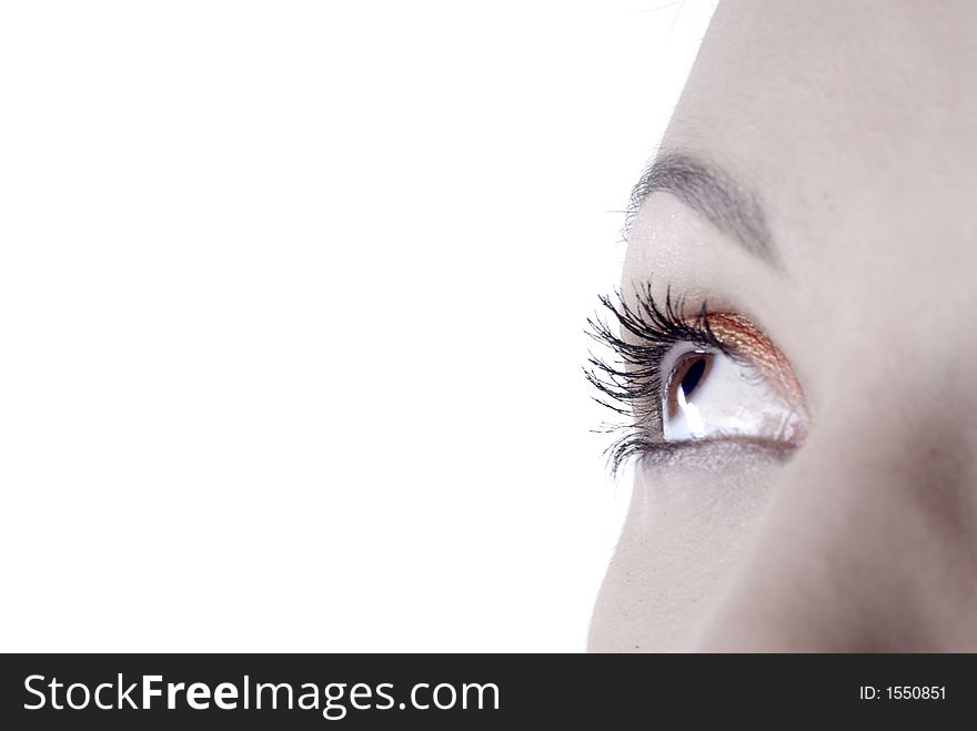 Picture of dreamy female beautiful eye. Picture of dreamy female beautiful eye