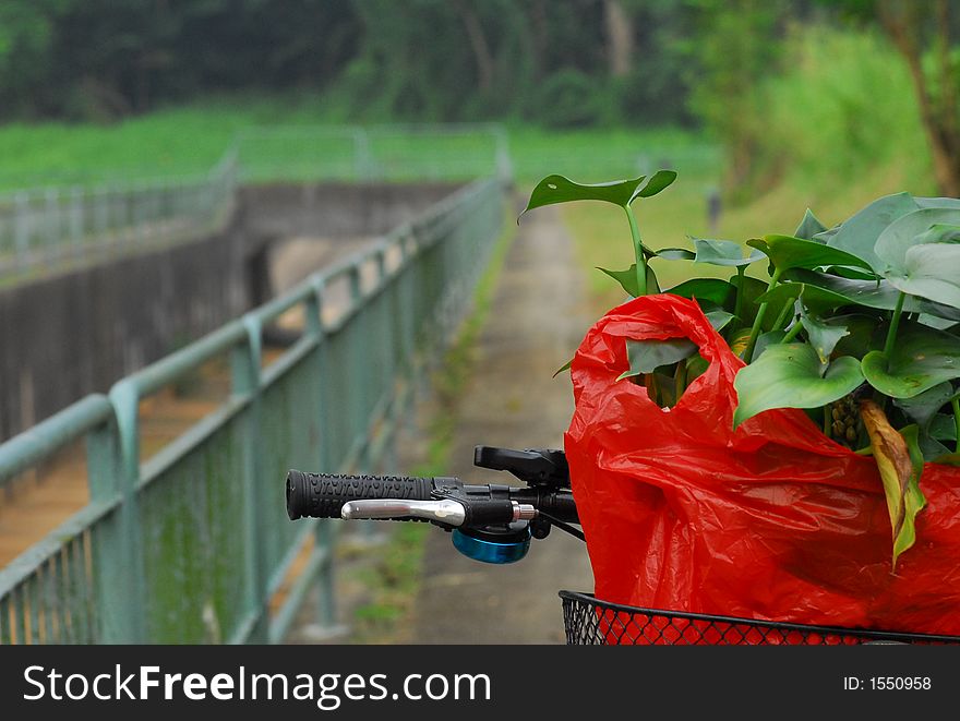 bicycle red bag and green leaf. bicycle red bag and green leaf