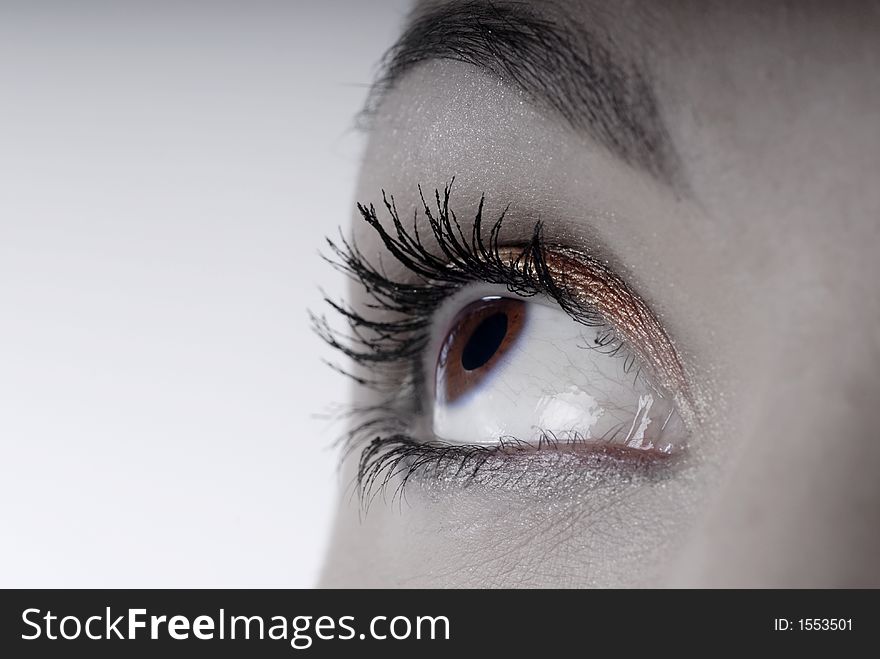 Picture of dreamy female beautiful eye