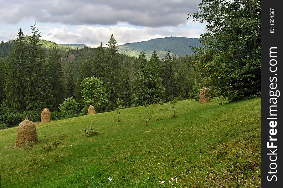 Mountainous green meadow with stacks of hay (Slavske village, Carpathian Mt's, Ukraine). Mountainous green meadow with stacks of hay (Slavske village, Carpathian Mt's, Ukraine)