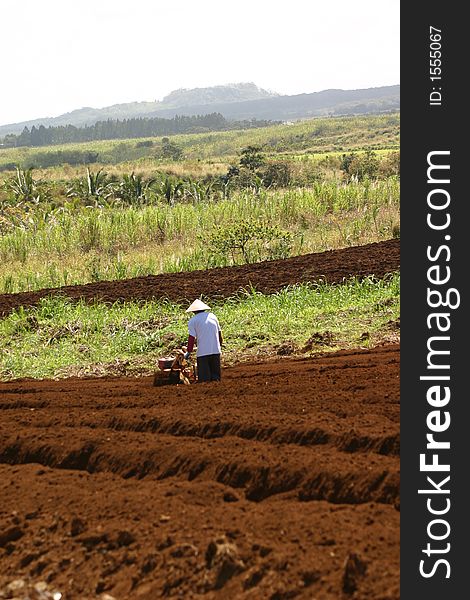 organic farmer plowing his fields on the side of a Hawaiian volcano