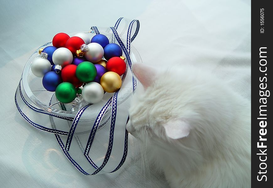 Various colored Xmas ornaments against a snowy background with white kitten. Various colored Xmas ornaments against a snowy background with white kitten