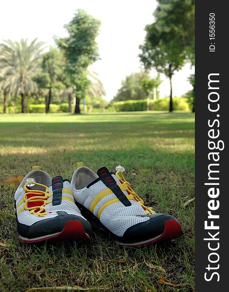 A shoot for a pair of shoes left in the Creek Park Dubai United Arab Emirates