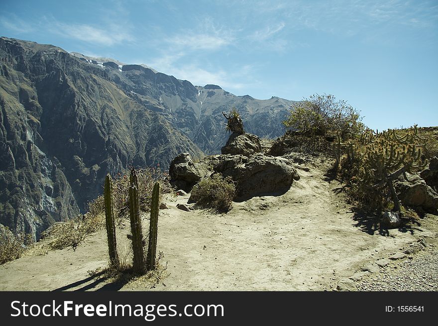 Landscape  in the Andes,Peru. Landscape  in the Andes,Peru