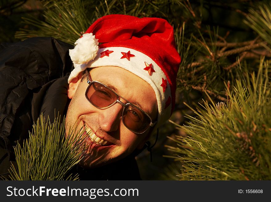 Portrait of male wearing santa claus hat on pine branch. Portrait of male wearing santa claus hat on pine branch