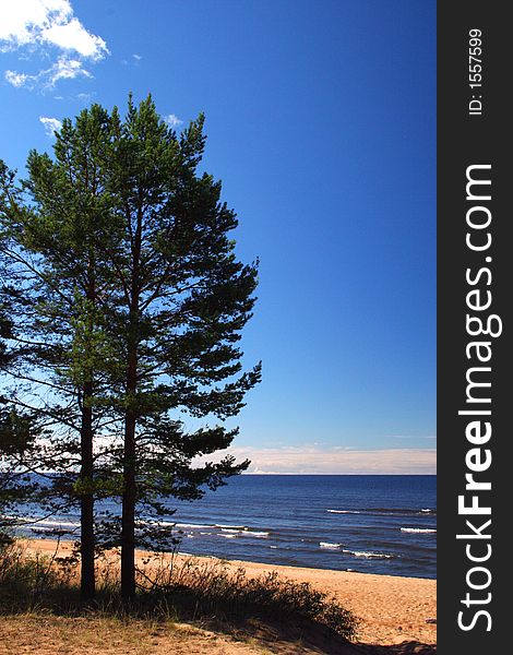 Lake Ladoga. A beach.