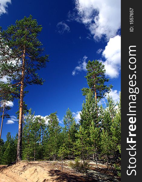 Lake Ladoga. A Beach.