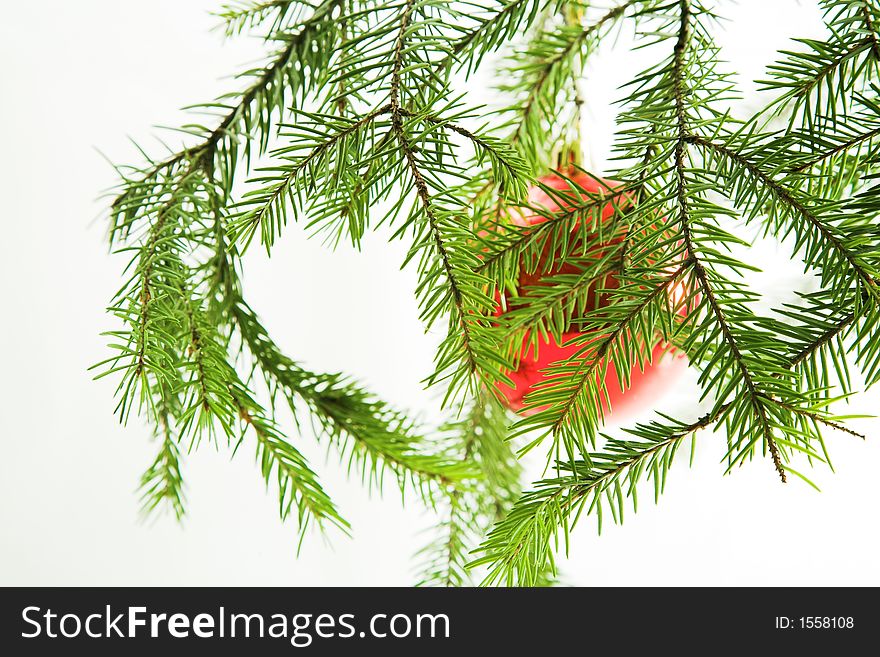 Red Ball On A Fir Branch