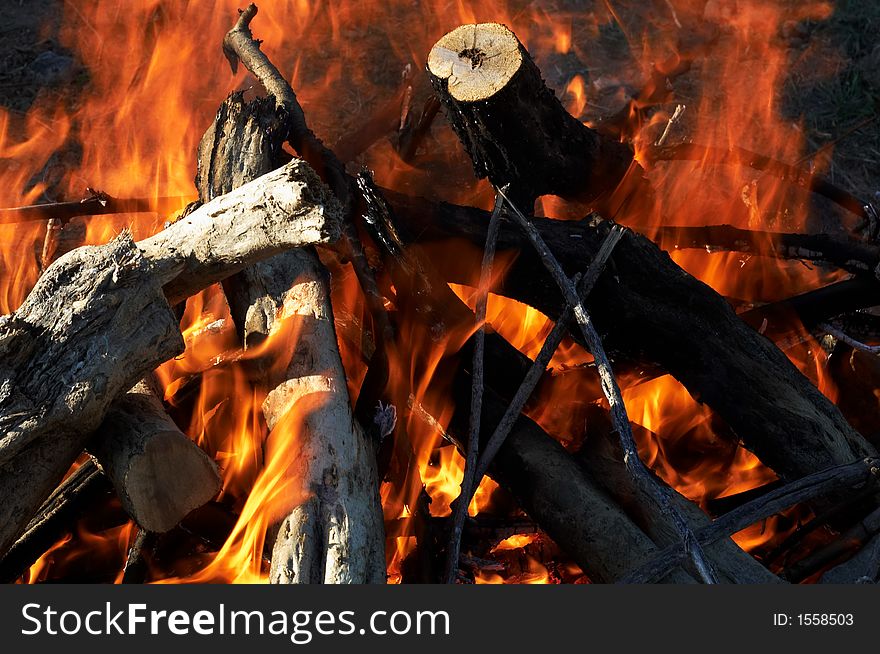 Campfire (from firewood) in tourist march