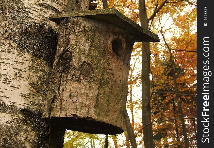Natural like, wooden birdhouse in forest