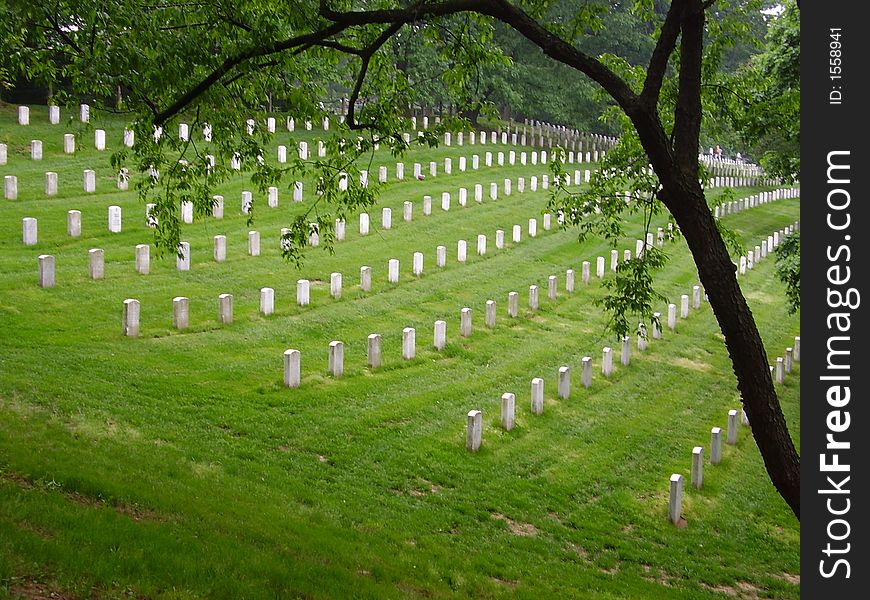 A picture of historic Arlington National Cemetery. A picture of historic Arlington National Cemetery.