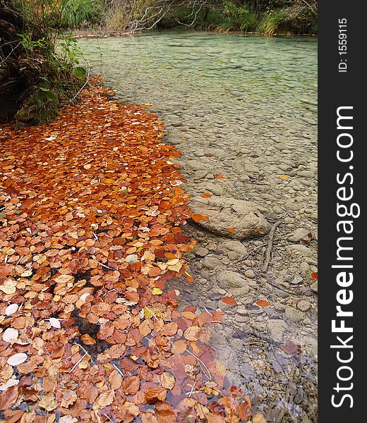 Autumn forest, Urederra river in Navarra, Spain