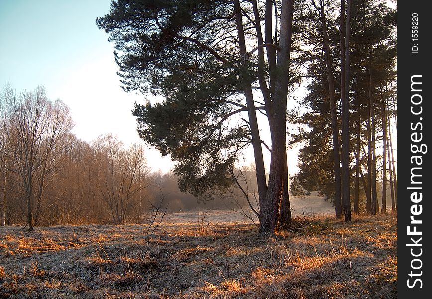 End of the winter landscape. End of the winter landscape