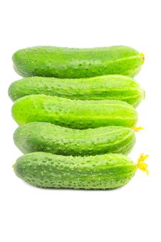 Row Of Fresh Cucumbers Isolated Over White Royalty Free Stock Photos
