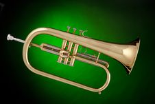Flugalhorn Trumpet Isolated On Green Stock Photography