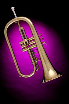 Flugalhorn Trumpet Isolated On Pink Stock Photography Flugalhorn Trumpet Isolated On Pink Stock Photography
