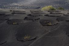 La Geria, Wine Agriculture In Lanzarote Royalty Free Stock Photo La Geria, Wine Agriculture In Lanzarote Royalty Free Stock Photo