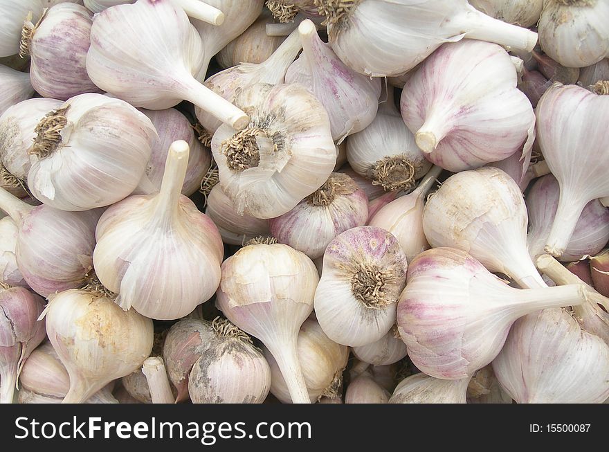 Bulbs of garlic are shown in the picture. Bulbs of garlic are shown in the picture.