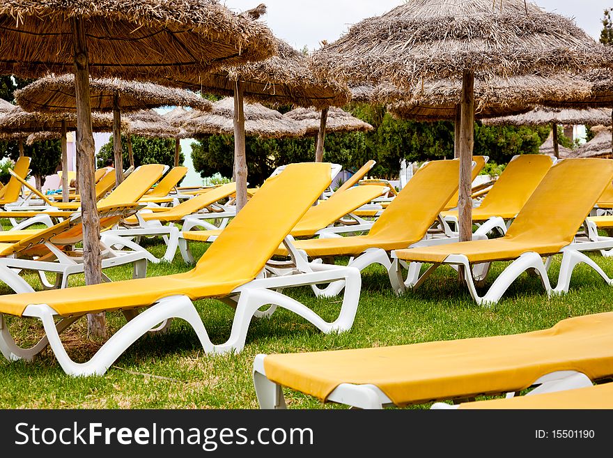 Deckchairs on the green grass