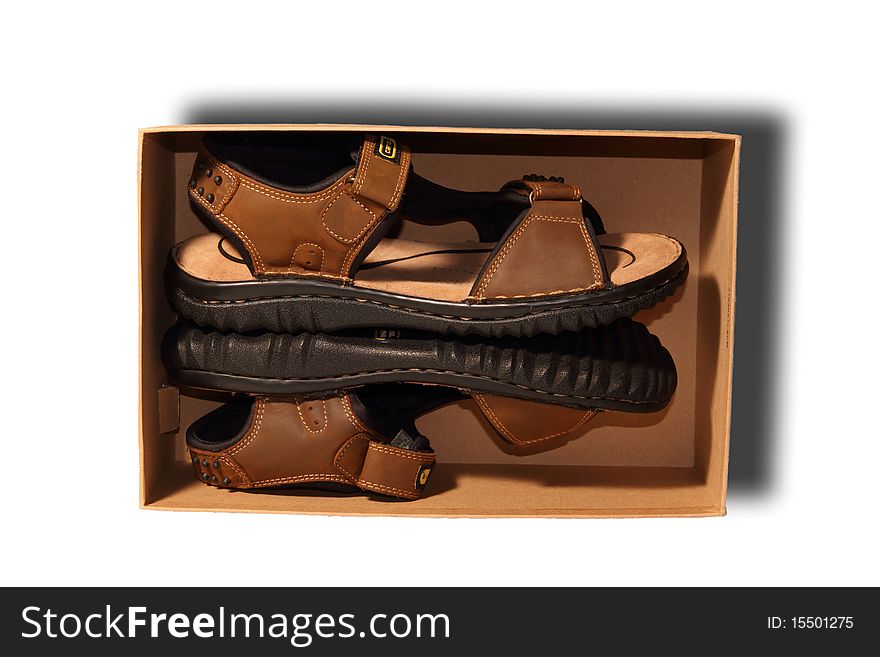 Brown shoe in brown box
