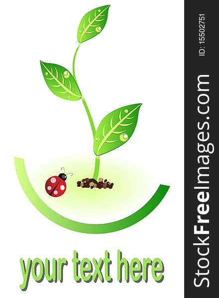 Eco illustration icon with plant and lady bug