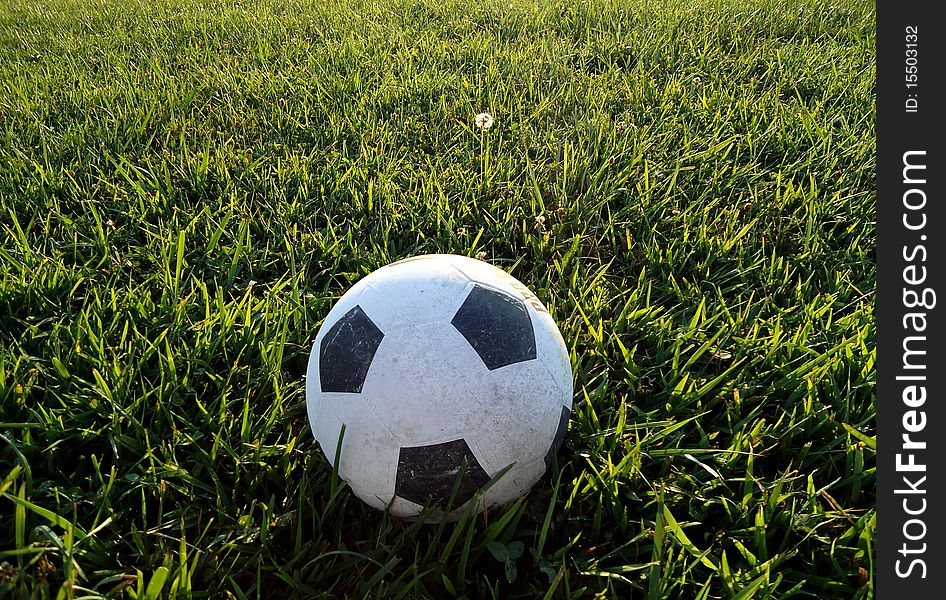 Soccer ball sits on green grass in the late afternoon. Soccer ball sits on green grass in the late afternoon.