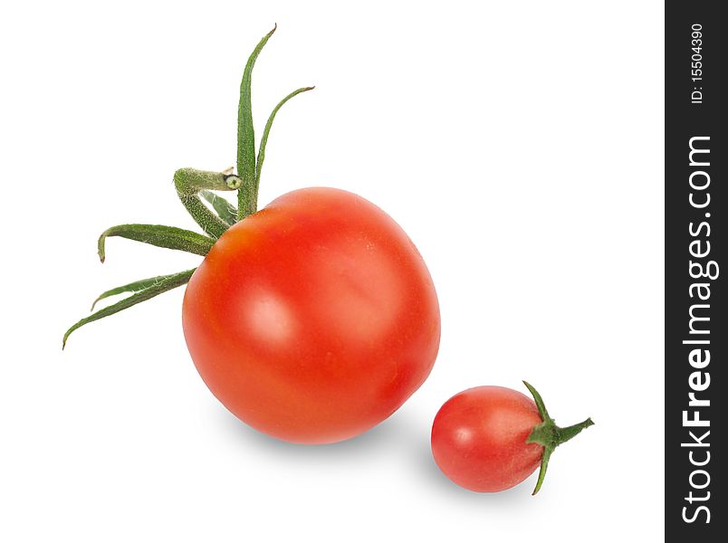 Selected tomatoes on a white background. Clipping path.