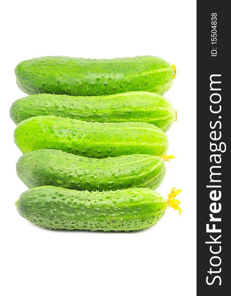 Row of four fresh cucumbers isolated over white