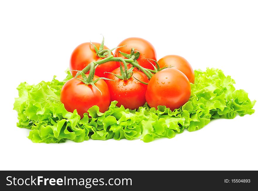 Branch of tomatoes over fresh green salad isolated over white. Branch of tomatoes over fresh green salad isolated over white