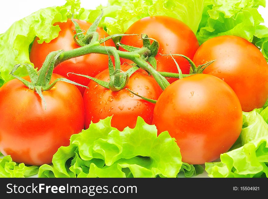 Branch Of Tomatoes Over Fresh Salad Leaves