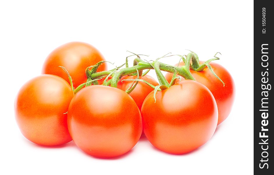 Branch of fresh red tomatoes isolated over white