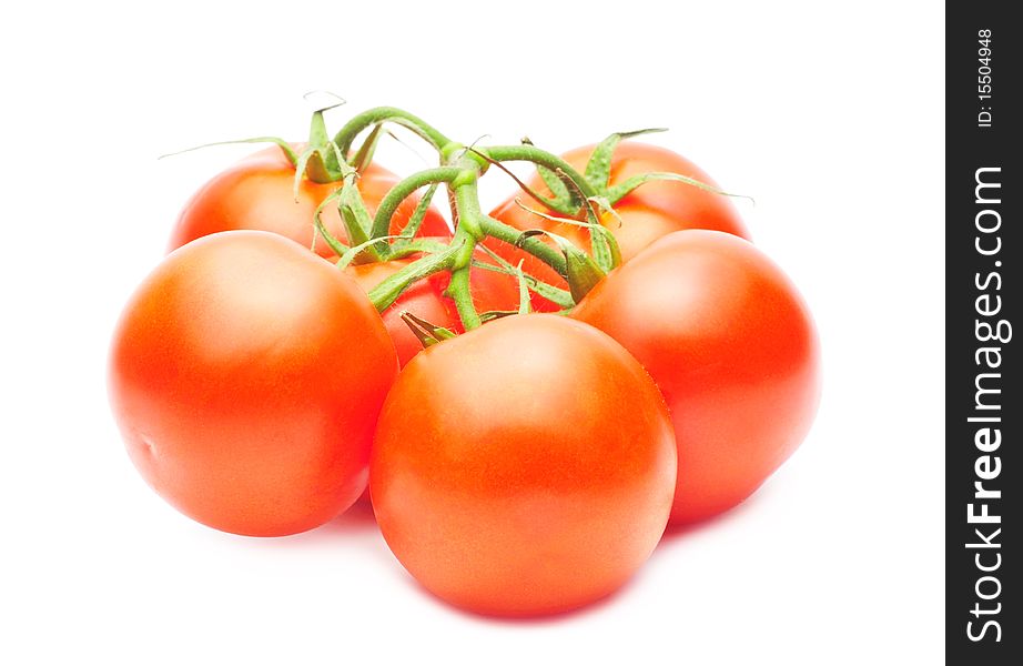 Branch of fresh red tomatoes isolated over white