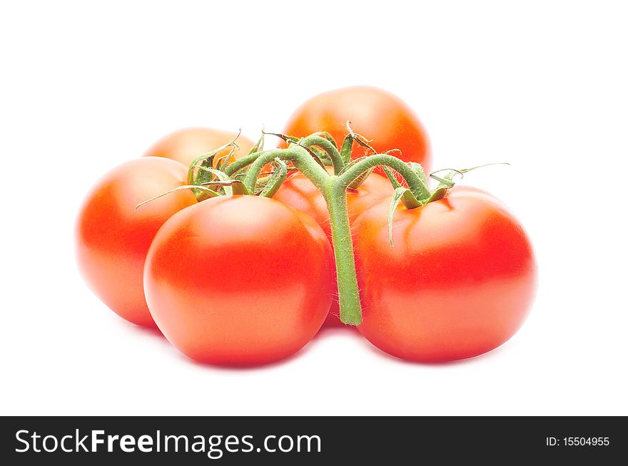 Branch Of Fresh Juicy Tomatoes Isolated Over White