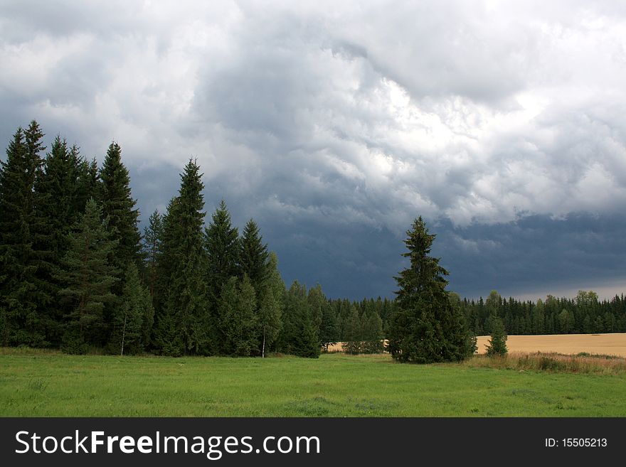 Dark storm clouds approaching over field and forest. Dark storm clouds approaching over field and forest