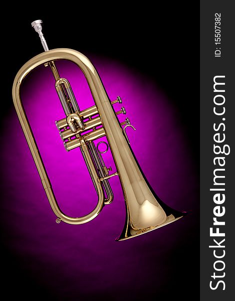 A gold flugalhorn trumpet isolated against a spotlight pink background. A gold flugalhorn trumpet isolated against a spotlight pink background.