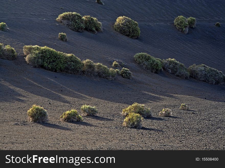 Volcanic Landscape In National Park Timanfaya