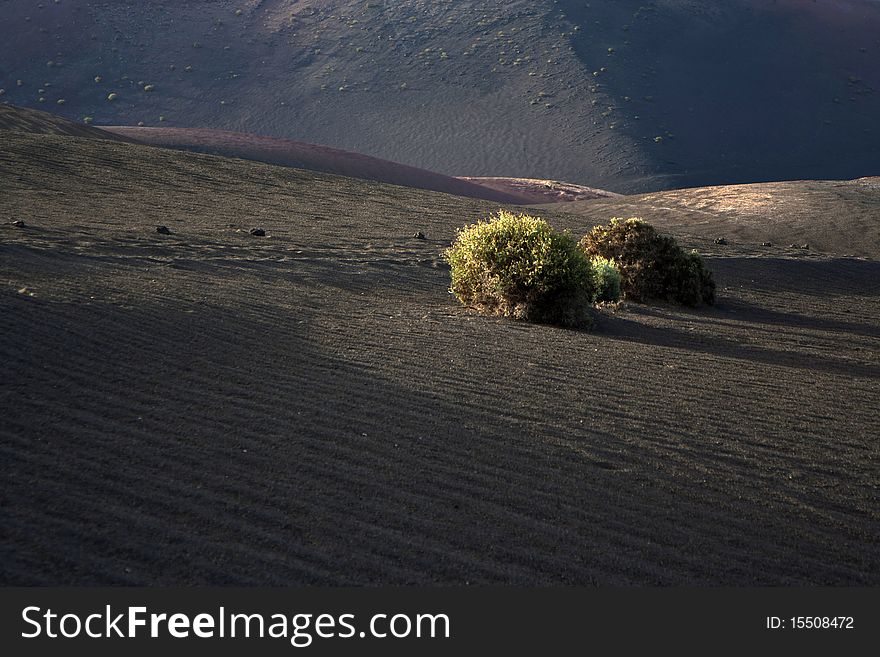 Volcanic landscape in national park Timanfaya