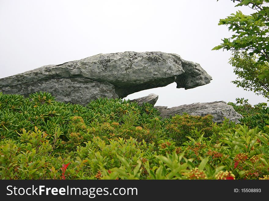 A shelf of granite hangs out in space, on Grandfather Mountain in western North Carolina. A shelf of granite hangs out in space, on Grandfather Mountain in western North Carolina
