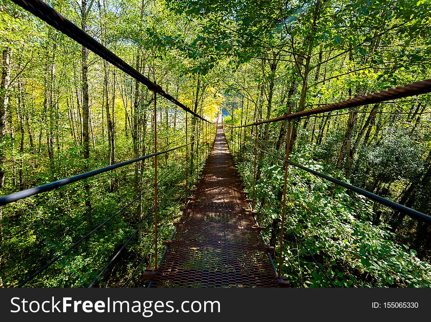 Narrow Metal Foot Bridge Across Forest In Autumn