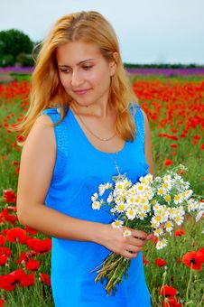 A Beautiful Girl Is Holding Camomiles Royalty Free Stock Photos