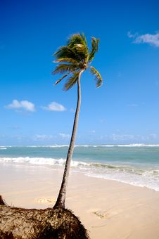 Exotic Caribbean Beach Royalty Free Stock Photo Exotic Caribbean Beach Royalty Free Stock Photo