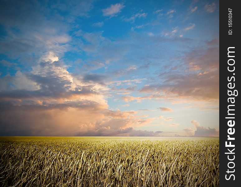 Summer landscape with dark blue sky