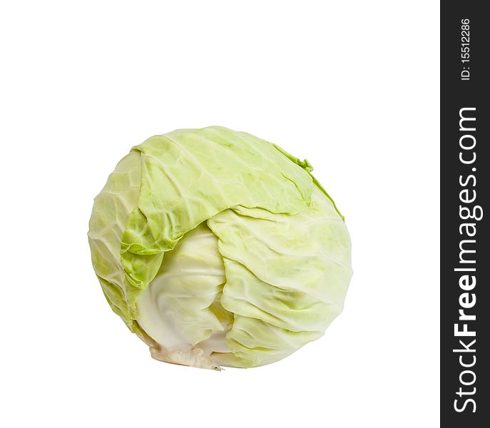 Cabbage